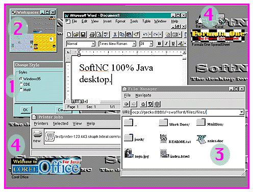 Screen shot of TriTeal's
                  SoftNC desktop.